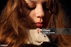 Ratte Aus Haar Auf Schwarzem Hintergrund Stockfoto und mehr Bilder von  Augen geschlossen