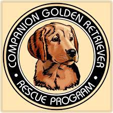Why adopt rather than purchase a puppy? Companion Golden Retriever Rescue