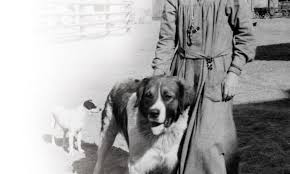 May 29, st ursula (urszula) ledóchowska. Usmiech Julii Www Malygosc Pl