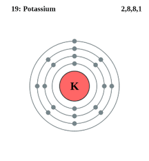 See The Electron Configuration Diagrams For Atoms Of The Elements Potassium Atom Atom Diagram Electron Configuration