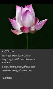 Pin By Santhi On Me Good Morning Messages Morning Messages Flowers