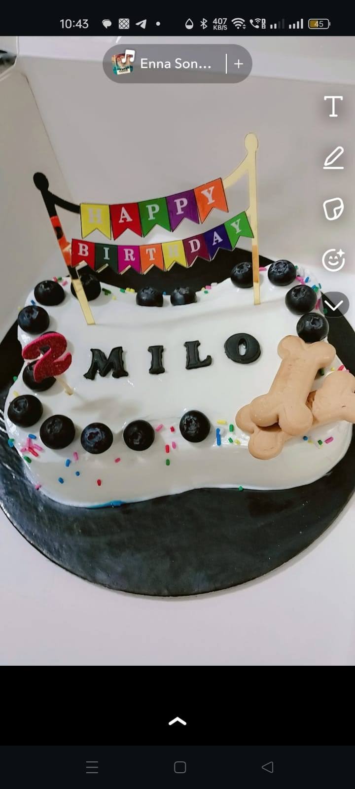 Bone shaped cake product image