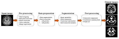 Users of the app have the ability to: Sensors Free Full Text Mri Segmentation And Classification Of Human Brain Using Deep Learning For Diagnosis Of Alzheimer S Disease A Survey Html