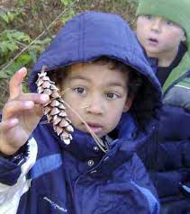 WISCONSIN ENVIRONMENTAL EDUCATION BOARD