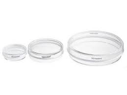 Maybe you would like to learn more about one of these? Cell Culture Dish 35 Mm Tissue Culture Treated From Eppendorf Biocompare Com