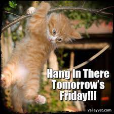 Pin On Horse Sayings