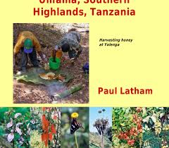 Image result for Phragmanthera eminii