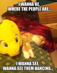 Funny Pictures 36 Pics Funny Pictures Haha Funny Funny Cats