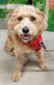 Brenda Figgs's Instagram, Twitter & Facebook