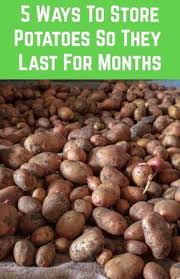 5 Ways To Store Potatoes So They Last For Months In 2020 Fruit And Vegetable Storage How To Store Potatoes Food Store