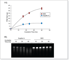 Each in vitro transcribed long rna oligo is meticulously monitored during synthesis and controlled according to bio‑synthesis's stringent quality assurance and quality control standards. Hiscribe T7 High Yield Rna Synthesis Kit Neb