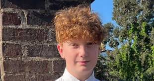 Harry Pitman: Boy, 16, cries as he's remanded for murder of teen watching  fireworks