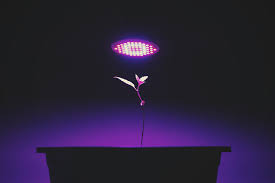 Led lights use as much as 60% less energy to provide the same amount of light as a traditional lighting system, which will save you. Using Led Grow Lights 6 Mistakes To Avoid Rqs Blog