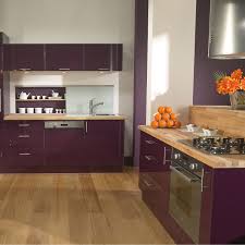 Meuble De Cuisine Delinia Composition Type Aubergine Violet Aubergine N 1 Jpg 1500 1500 Meuble Cuisine Leroy Merlin Meuble Cuisine Cuisine Violette