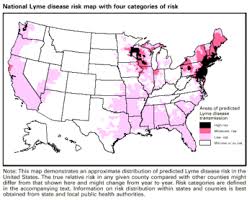Check spelling or type a new query. Pathogenesis Of Lyme Disease And Gene Expression In Borrelia Burgdorferi Microbewiki
