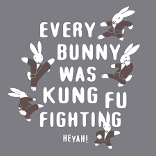 Every Bunny Was Kung Fu Fighting T-Shirt | SnorgTees