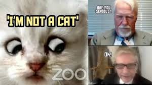 Check out the surprising origin story behind the trending woman yelling at a cat meme. Zoom Cat Lawyer Know Your Meme