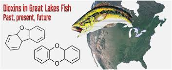 Dioxin is the common term used to refer to a group of chlorinated dioxins and furans of similar chemical structure. Dioxins In Great Lakes Fish Past Present And Implications For Future Monitoring Sciencedirect