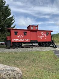 Pin By Michael Higgins On Trains In 2020 Train Hammondsport
