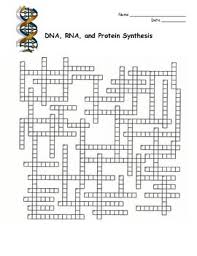 .protein synthesis worksheet dna and rna, protein synthesis worksheet answer key and protein synthesis worksheet answers are three of main things we will show you based on the post title. Dna Rna Protein Synthesis Crossword Puzzle Protein Synthesis Crossword Puzzle Crossword