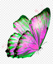 We did not find results for: Butterfly Wings Butterflywings Fairy Transparent Background Butterfly Pics Png Clipart 1354908 Pikpng