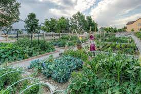 How much profit can a community garden make? How To Start A Community Garden 9 Steps To Follow