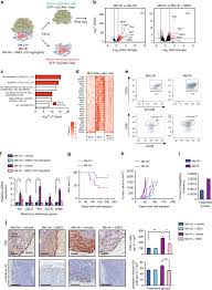 Learn what cancer is and what causes it. Targeting Stromal Remodeling And Cancer Stem Cell Plasticity Overcomes Chemoresistance In Triple Negative Breast Cancer Nature Communications