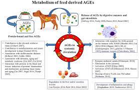 We did not find results for: Frontiers Immunomodulation By Processed Animal Feed The Role Of Maillard Reaction Products And Advanced Glycation End Products Ages Immunology