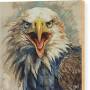 Eagle Painting from tina-lecour.pixels.com