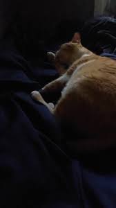 Erasmus Banmah (@erasmusbanmah)