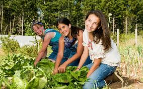 Volunteer Farming And Agriculture Projects Sustainable Farming Abroad Volunteer Forever