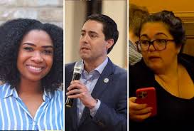 Image result for Ozoroa kassneri