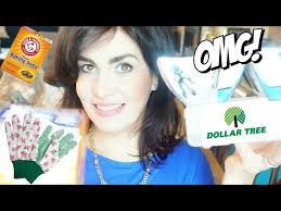 10 COSAS QUE DEBERIAS COMPRAR EN DOLLAR TREE