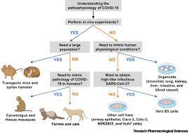 Cell culture refers to the removal of cells from an animal or plant and their subsequent growth in a favorable artificial environment. In Vitro And Animal Models For Sars Cov 2 Research Trends In Pharmacological Sciences