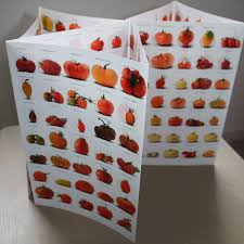 Choisir Ses Varietes De Tomates