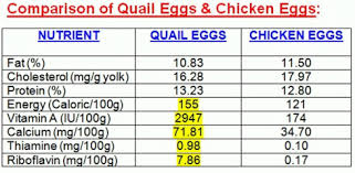 Info And News Qeggalore Quail