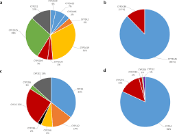 characterization of porcine hepatic and intestinal drug