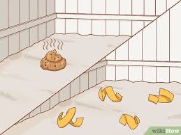 Check spelling or type a new query. How To Stop A Dog From Digging 11 Steps With Pictures Wikihow Pet