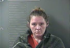 JCSO: Registered sex offender found living in vehicle at Thealka Park