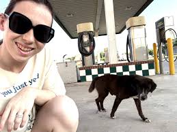 Someone needs to come get their dog