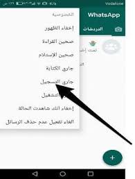 شرح اهم مميزات الواتس الذهبي بالصور Pie Chart Chart