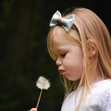 ملف ‏‎The littlest of things‎‏ الشخصي‎