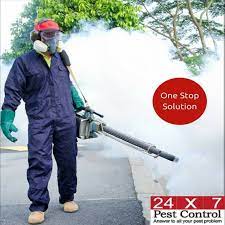 Sector 66, gurugram, haryana, india. Pest Control Gurgaon Pest Control Company In Gurugram 24x7pest Control Gurgaon