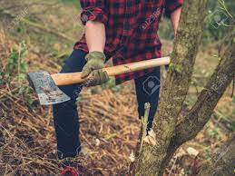 A Young Woman Is Cutting Down A Tree With An Axe Stock Photo Picture And Royalty Free Image Image 122889100
