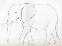 Die anleitung finden sie auf seite 6 und folgende im pdf. 8 Elefant Zeichnen Ideen Elefant Elefant Zeichnung Elefant Malen