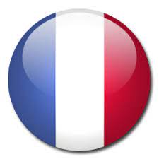 All images and logos are crafted with great workmanship. France Flag Icon Download Rounded World Flags Icons Iconspedia