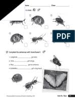 Since invertebrates are small, there are two different body plans. Invertebrates Worksheet 5