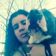 Lost German Shepherd Mixed Dog in La Romain