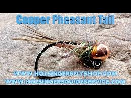 Image result for Copper Chestnut 2012 Cygnet