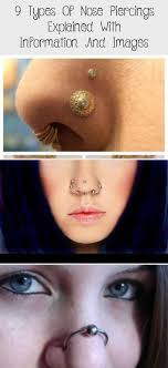 9 Types Of Nose Piercings Explained With Information And Pictures Piercing D Expla In 2020 Hoop Nasenpiercing Piercing Nasenpiercing Infektion